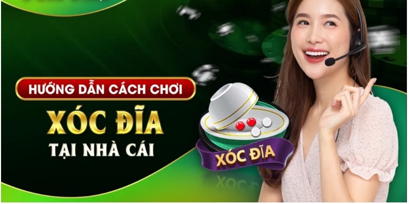 Hướng dẫn các tân thủ cách chơi xóc đĩa qua các bước đơn giản