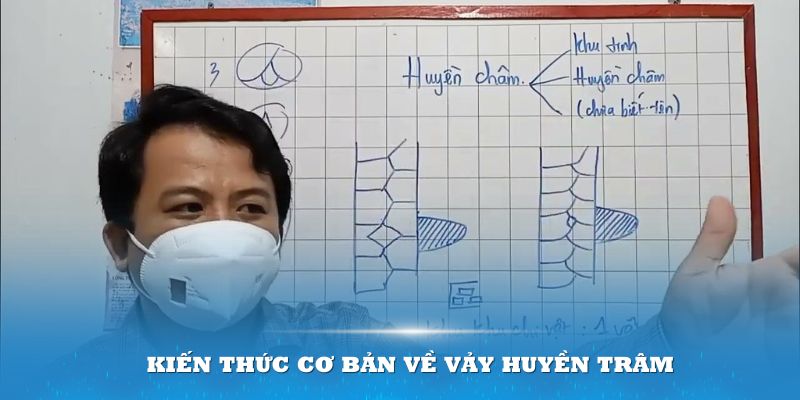 Kiến thức cơ bản về vảy huyền trâm