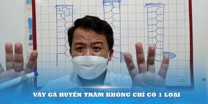 Vảy gà huyền trâm không chỉ có 1 loại